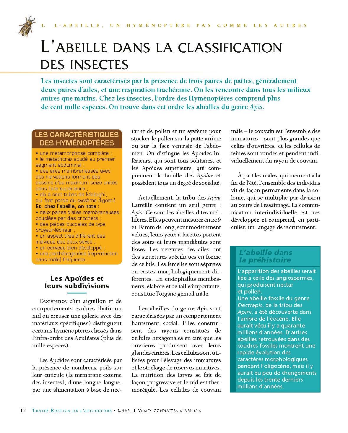 Le traité Rustica de l'apiculture