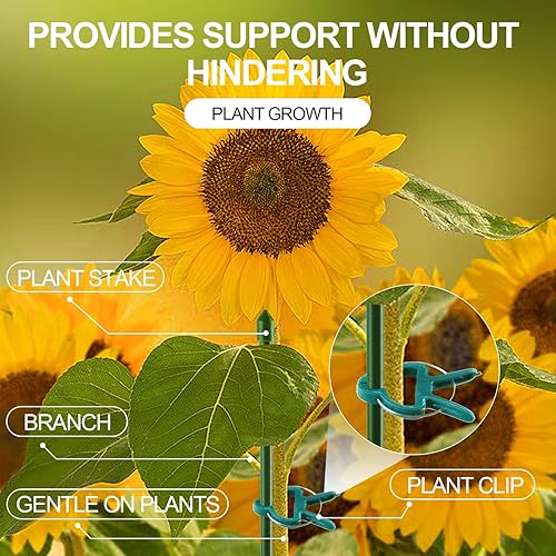 Miniatura 7 de 40 clips de soporte para plantas, flores y vid, clips de soporte para plantas de tomate de jardín para apoyar tallos, enredaderas crecen