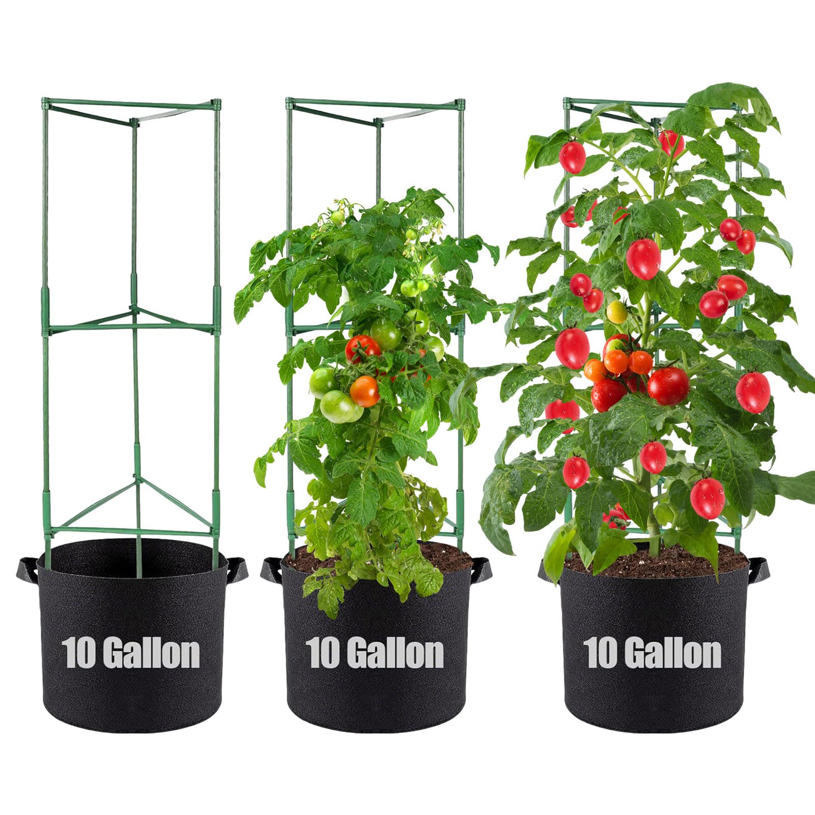 PASARA Tomato Cages with Grow Bags