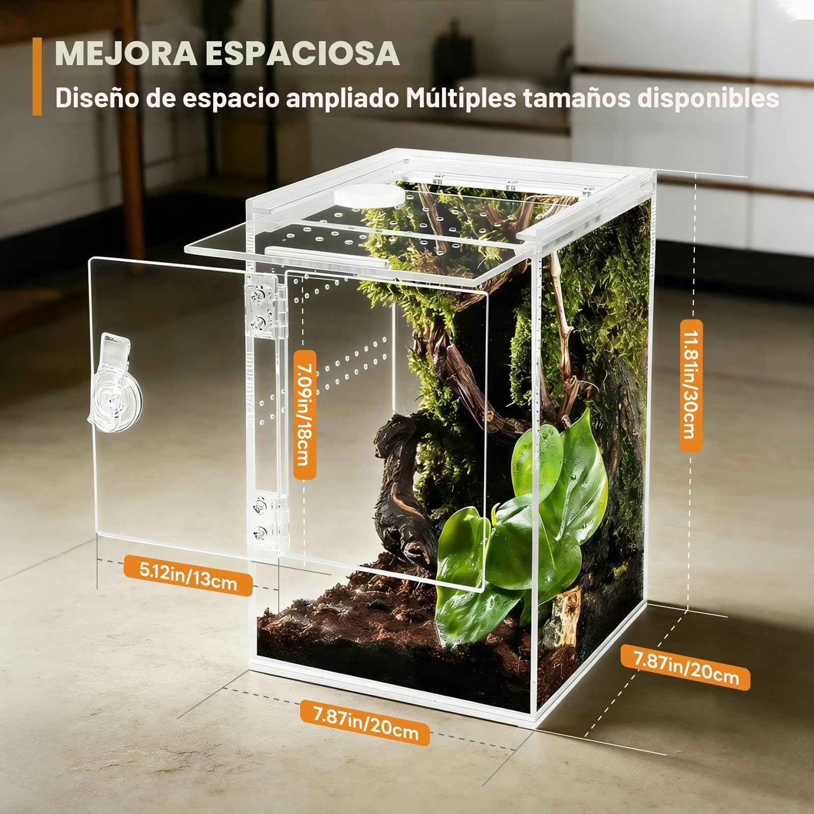 Terrario, 360° Terrario Reptiles Transparente,Terrario Insectos Acrílico | 20x20x30CM,Caja de Cría para Araña Saltadora, Gecko, Lagarto Dragón Barbudo, Caracol, Insectos Palo, Rana Arbórea