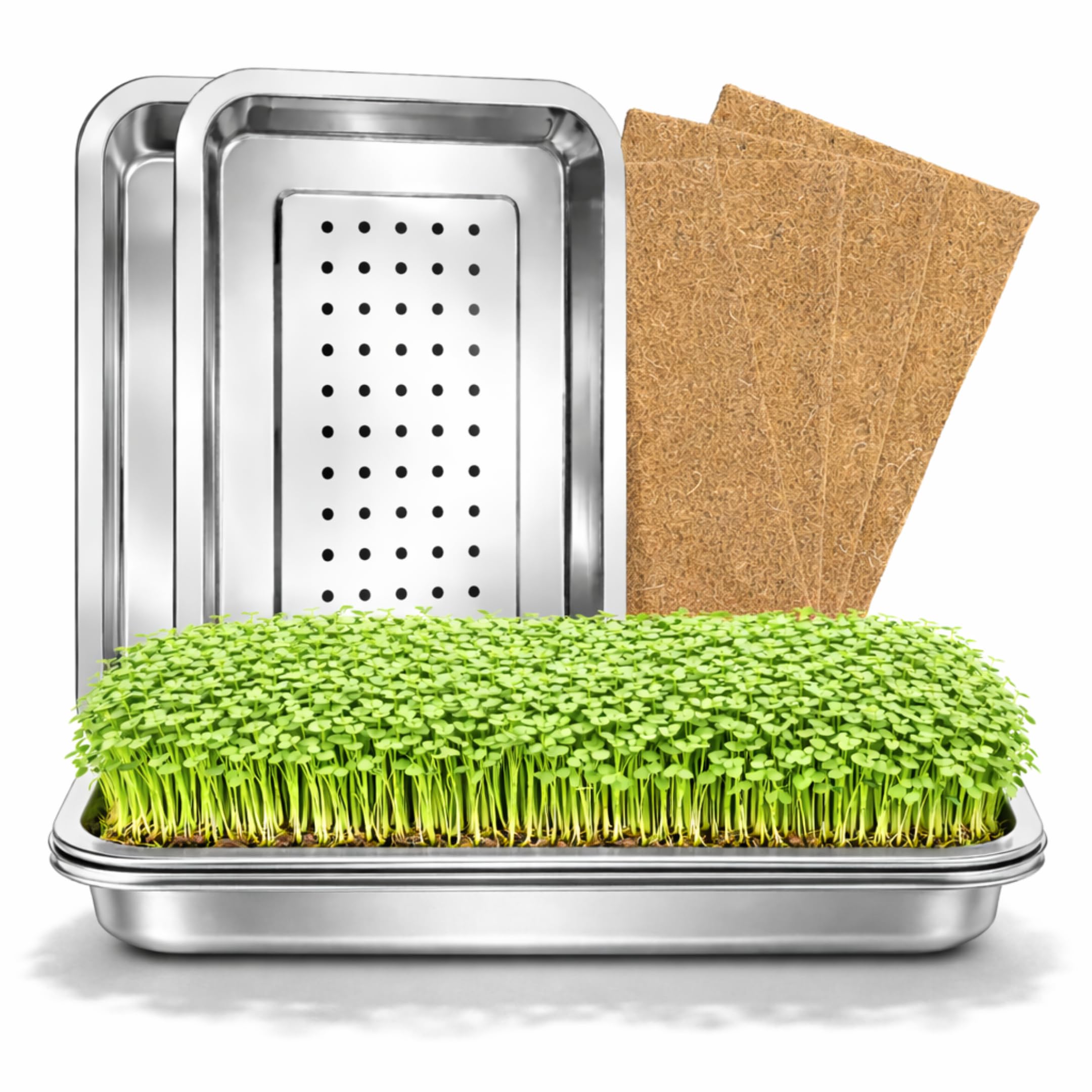 Friendly Fox Microgreens Anzuchtschale aus Edelstahl, 2er Set mit Hanfmatten, Keimschalen für Sprossen und Microgreens, Plastikfrei, 31x21 cm