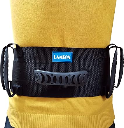 weight lifting back belt