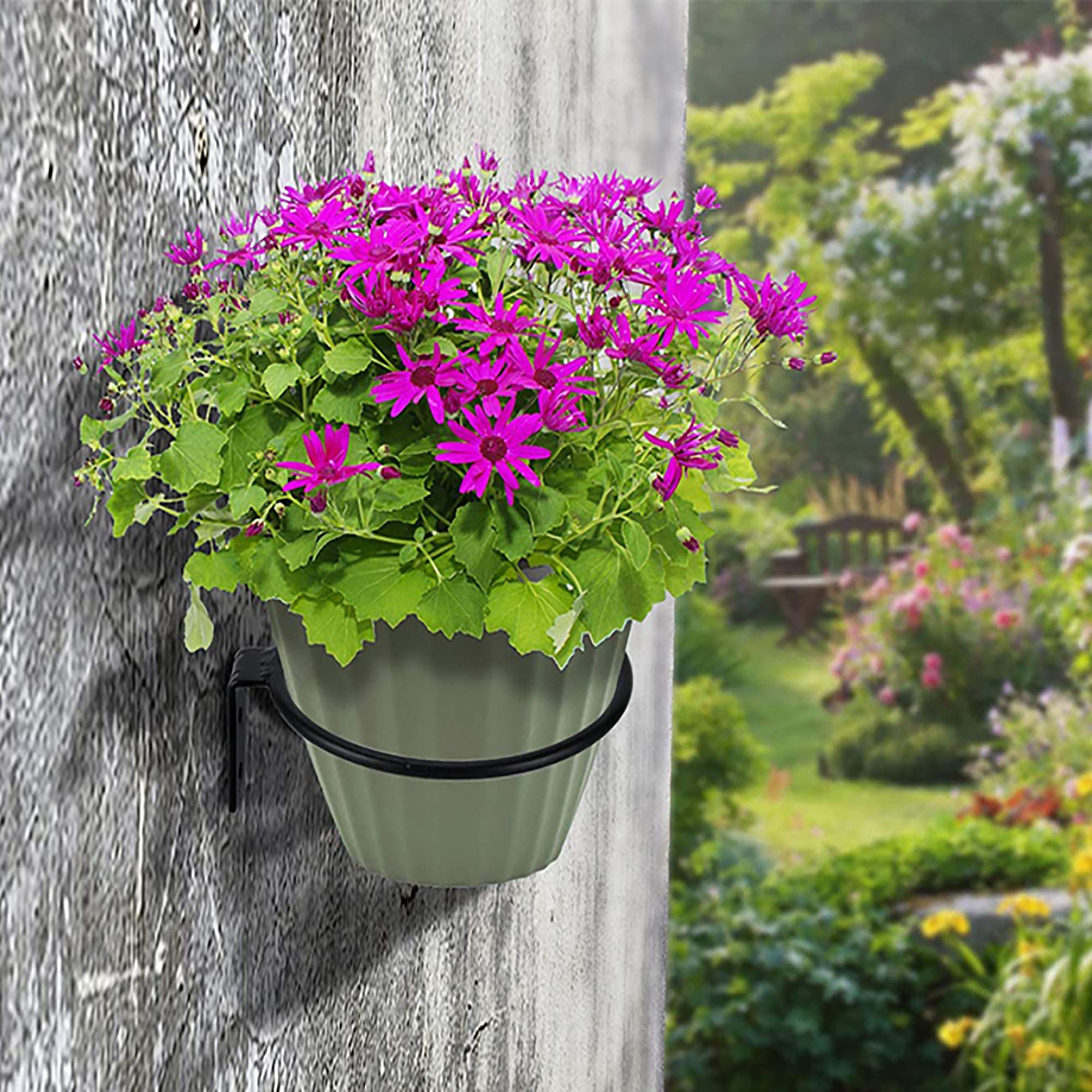 Paquete de 6 anillos de soporte para macetas de 6 pulgadas, gancho de metal para colgar plantas, soporte de pared para maceta, color negro 5