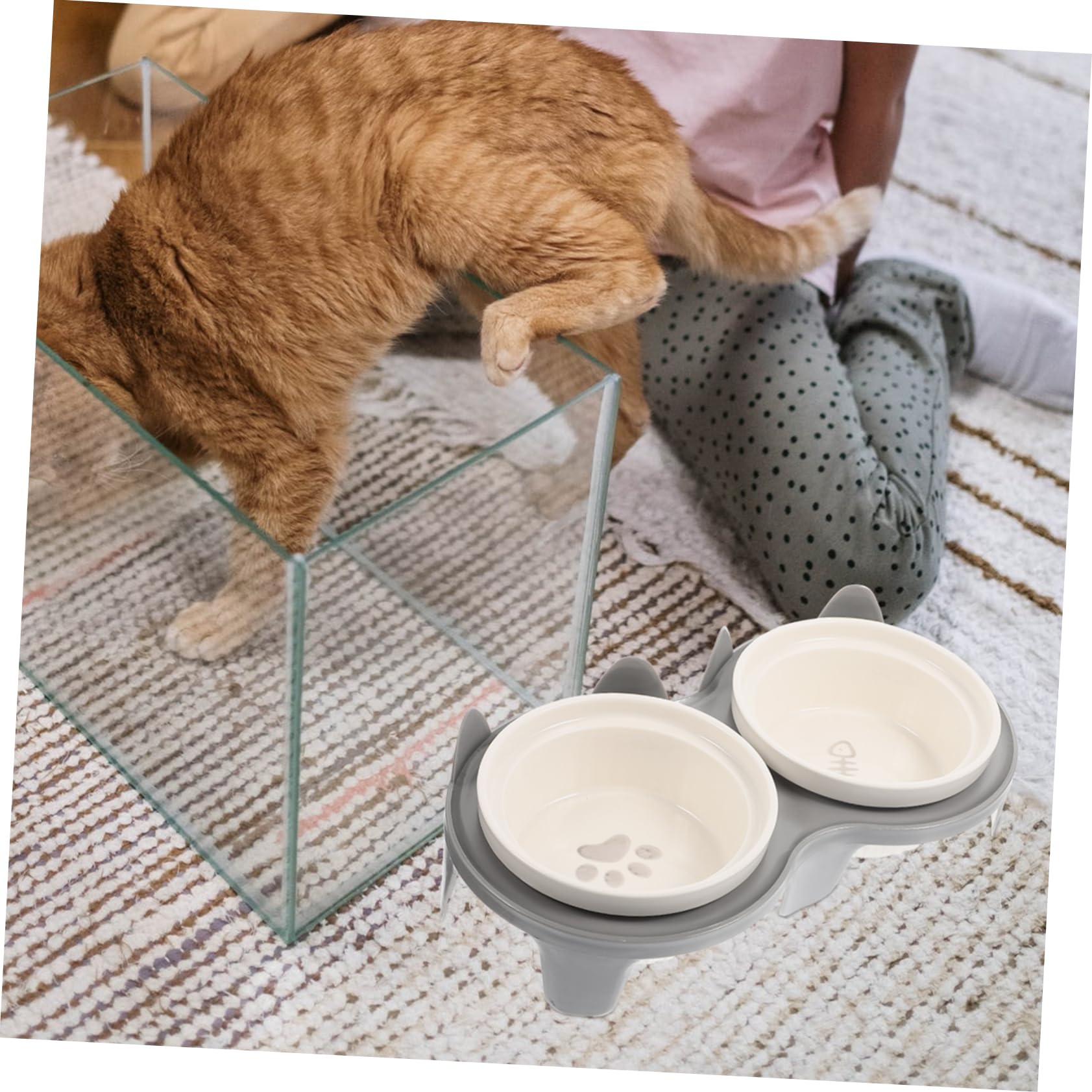 Milisten Gamelle pour Chat en Céramique à Double Bol Surélevée et Inclinée