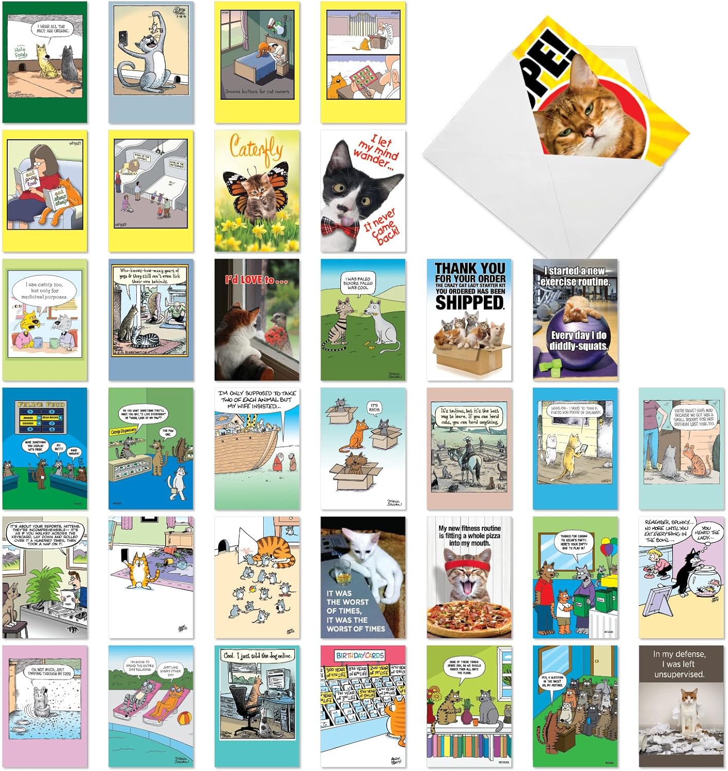 NobleWorks 36 Assorted Box Set Blank Greeting Cards w/ 5 x 7 Envelopes for Men, Women (36x1 Designs) Blank All Occasions Comedic Cats AC10617OCB-B1x36