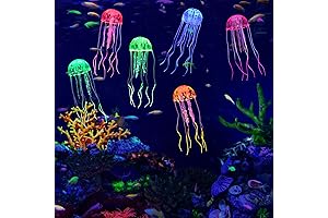 Enchanting Lpraer Glow Jellyfish for Enchanting Aquariums