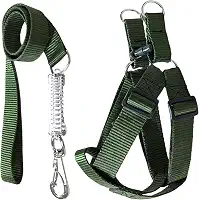 Coleira Peitoral Americano Para Cachorros Médio Grande Ajustável (Verde, G (30mm))