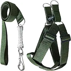 Coleira Peitoral Americano Para Cachorros Médio Grande Ajustável (Verde, G (30mm))