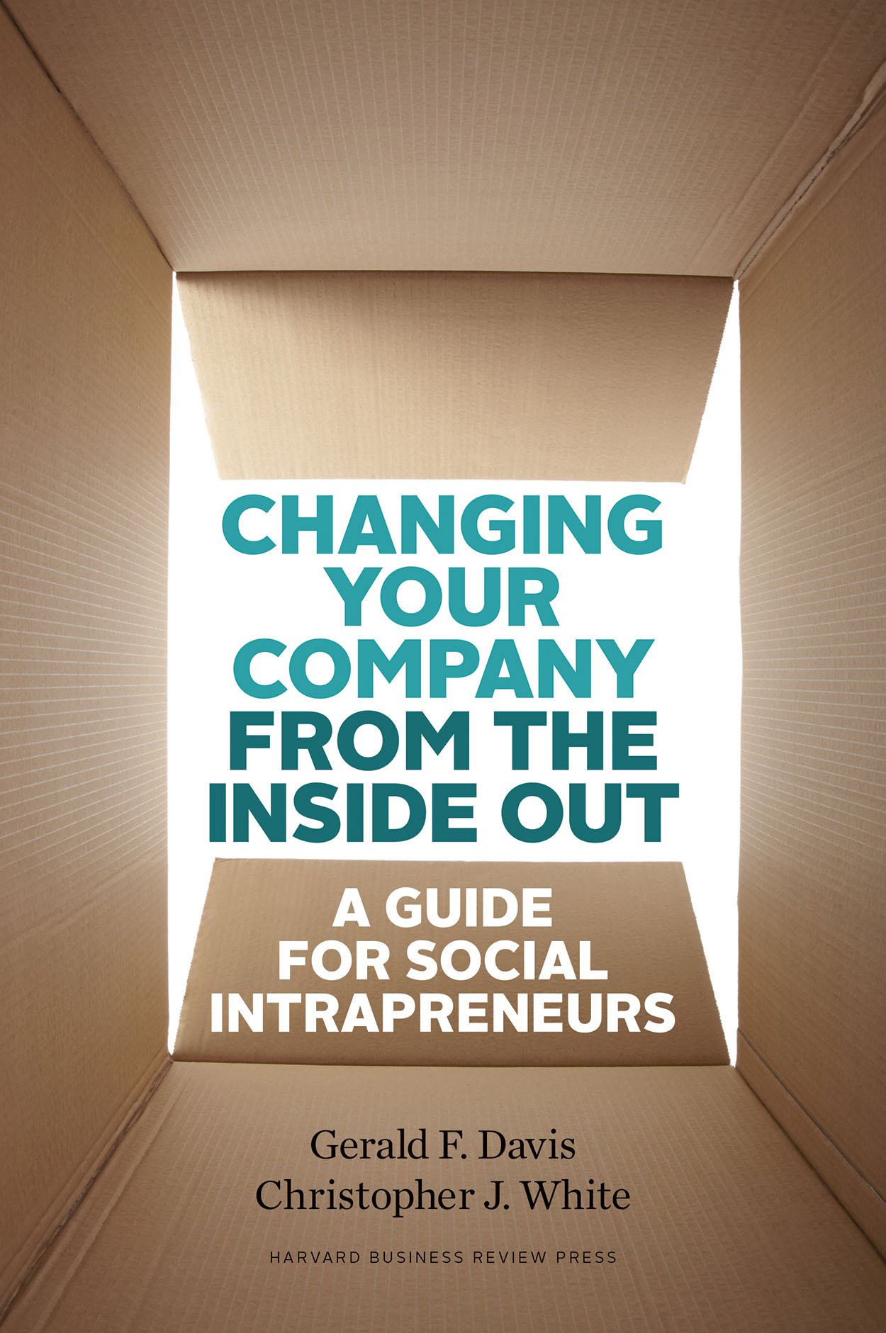 Harvard Business Review Press Changing Your Company from the Inside Out: A Guide for Social Intrapreneurs