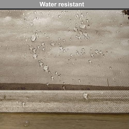 Miniatura 6 de Ambesonne Juego de 4 manteles individuales vintage de avión, diseño de cielo nublado dramático, aviación, sobrevuelo, composición obsoleta, manteles