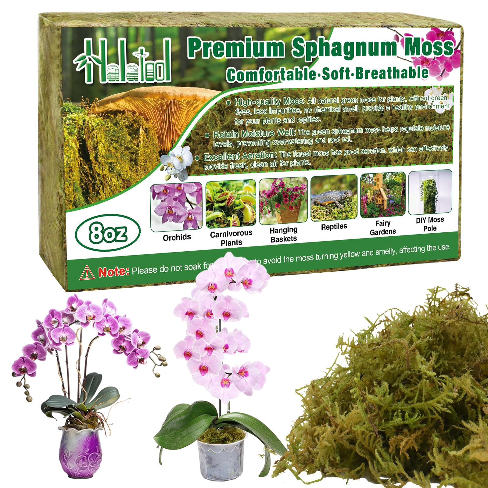 Halatool 8OZ Premium Sphagnum Moss for Plants, 12QT Green Moss for Plants Indoor Potted Orchid Moss for Repotting Succulent Carnivorous Terrarium Gardening Reptiles