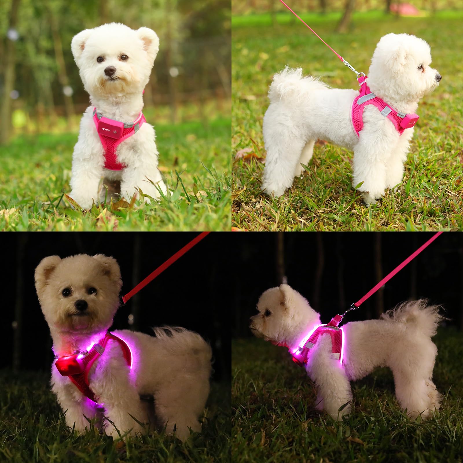 Imbracatura per cani illuminata, imbracatura per cani ricaricabile a LED per cani di piccola taglia e media | Gilet di sicurezza riflettente illuminato per passeggiate notturne e campeggio, leggero e regolabile, rosa, M