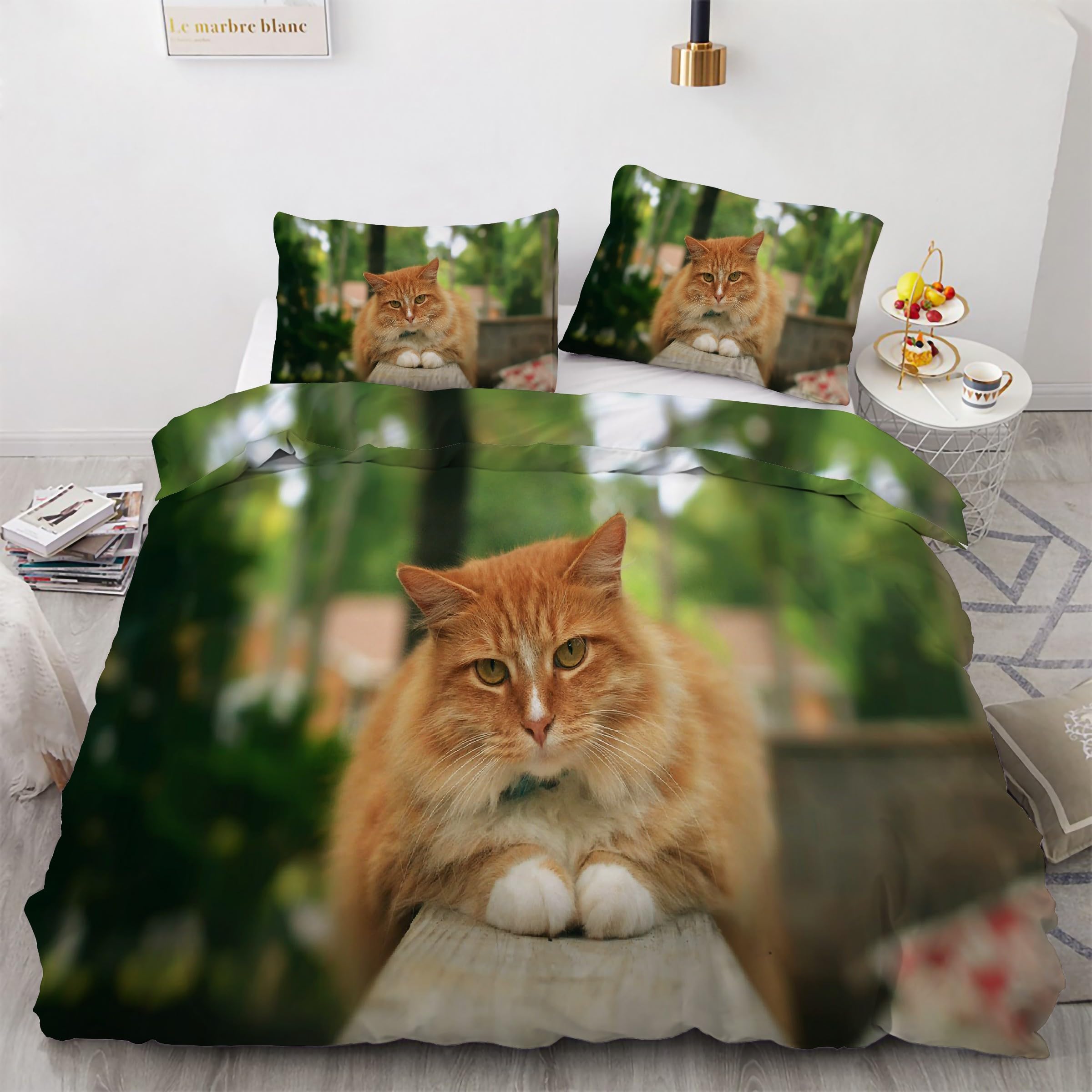 Parure de lit 90x190 chat orange ensemble de literie 3 pièces microfibre zippée Kg5438