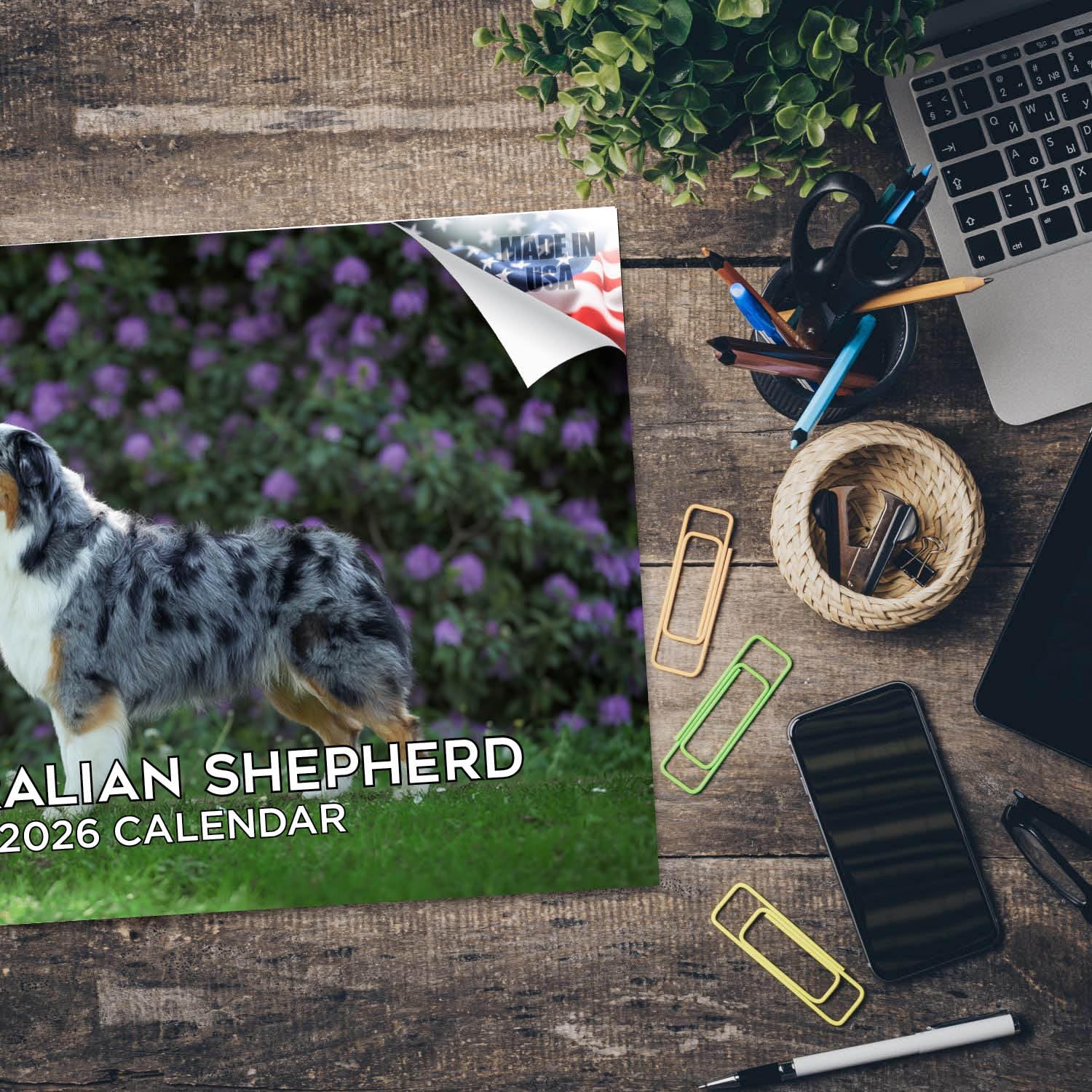 Calendario de pastor australiano 2024 2025 – Calendario mensual de pared de raza de perro – 12 x 18 pulgadas abierto – Papel grueso que no se corre – Regalo – Planificador académico para profesores