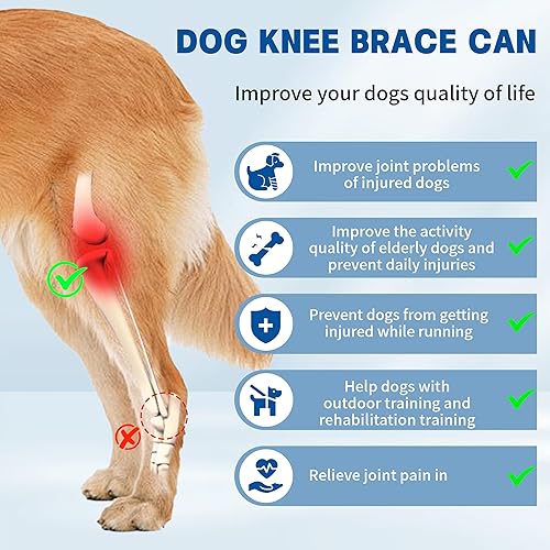Miniatura 4 de Rodillera para perro para pierna trasera desgarrada, soporte ajustable para piernas para calidez y apoyo, rodillera universal para perro para cuatro