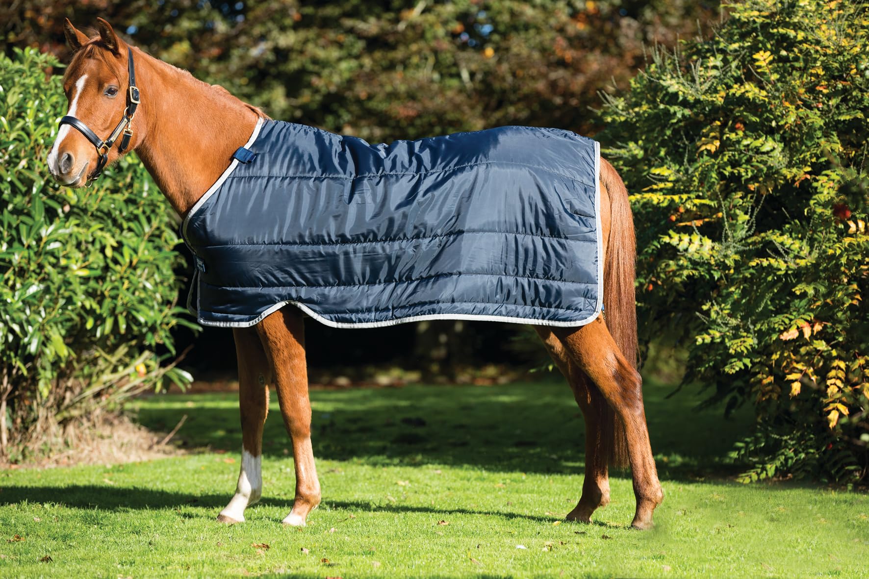 Horseware Manta de establo para Caballos 200g
