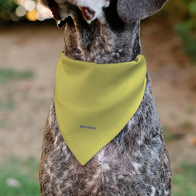 Foto 5 de 6 de Bob Esponja Bandana para Mascotas Bob Esponja Squarepants Normal is Boring Pose Yellows Slip On Collar…