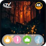 マッシュルームヘイブン – Fire TV対応、睡眠、リラクゼーション、ヒーリングのための穏やかなフルートと自然の音