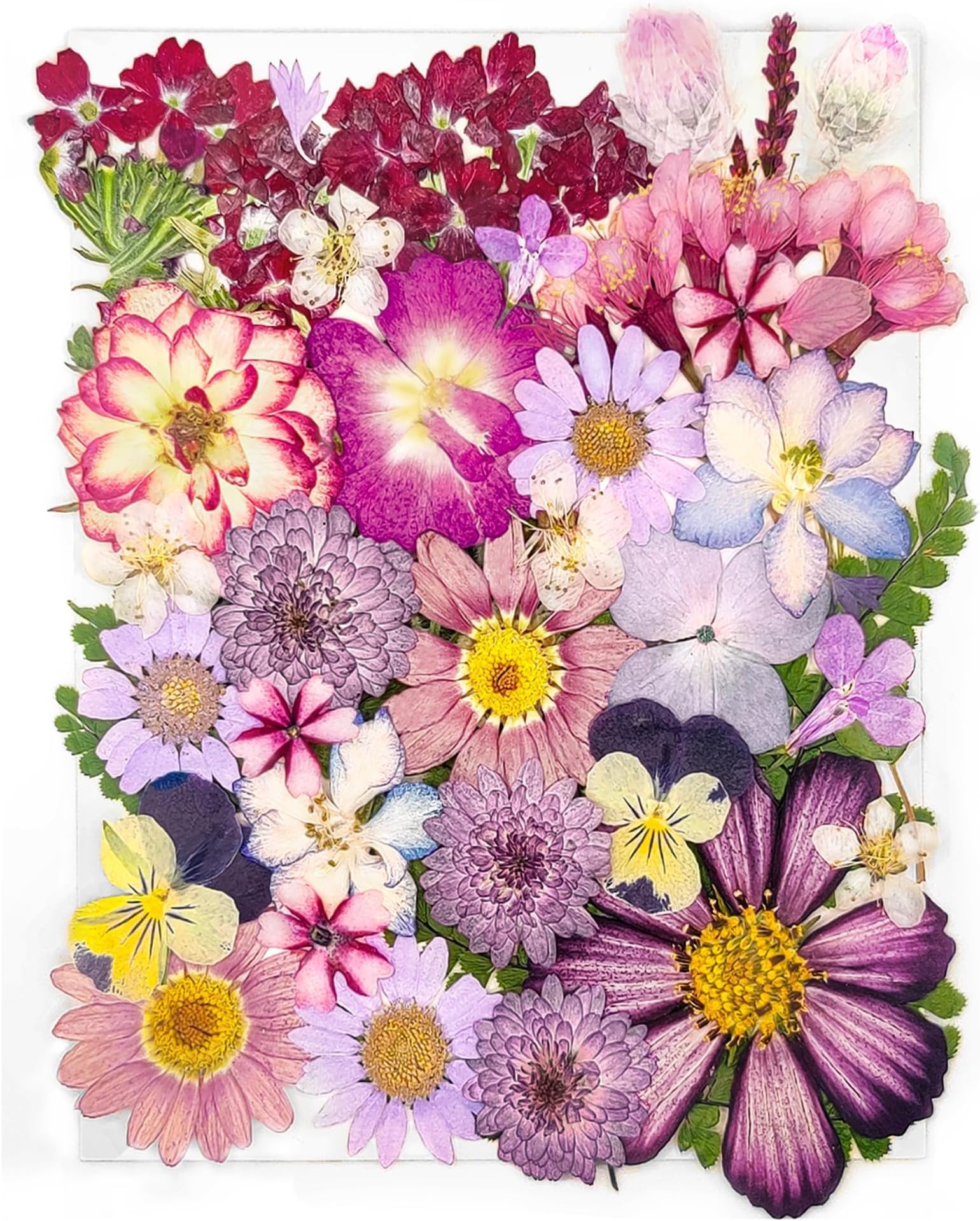 15 Types 37pcs Purple Dried Pressed Flowers for Resin Molds,YoothBro Real Natural Pressed Flowers for DIY Art Crafts,Candle Making, Nails Décor,Soap Making, Phone Case
