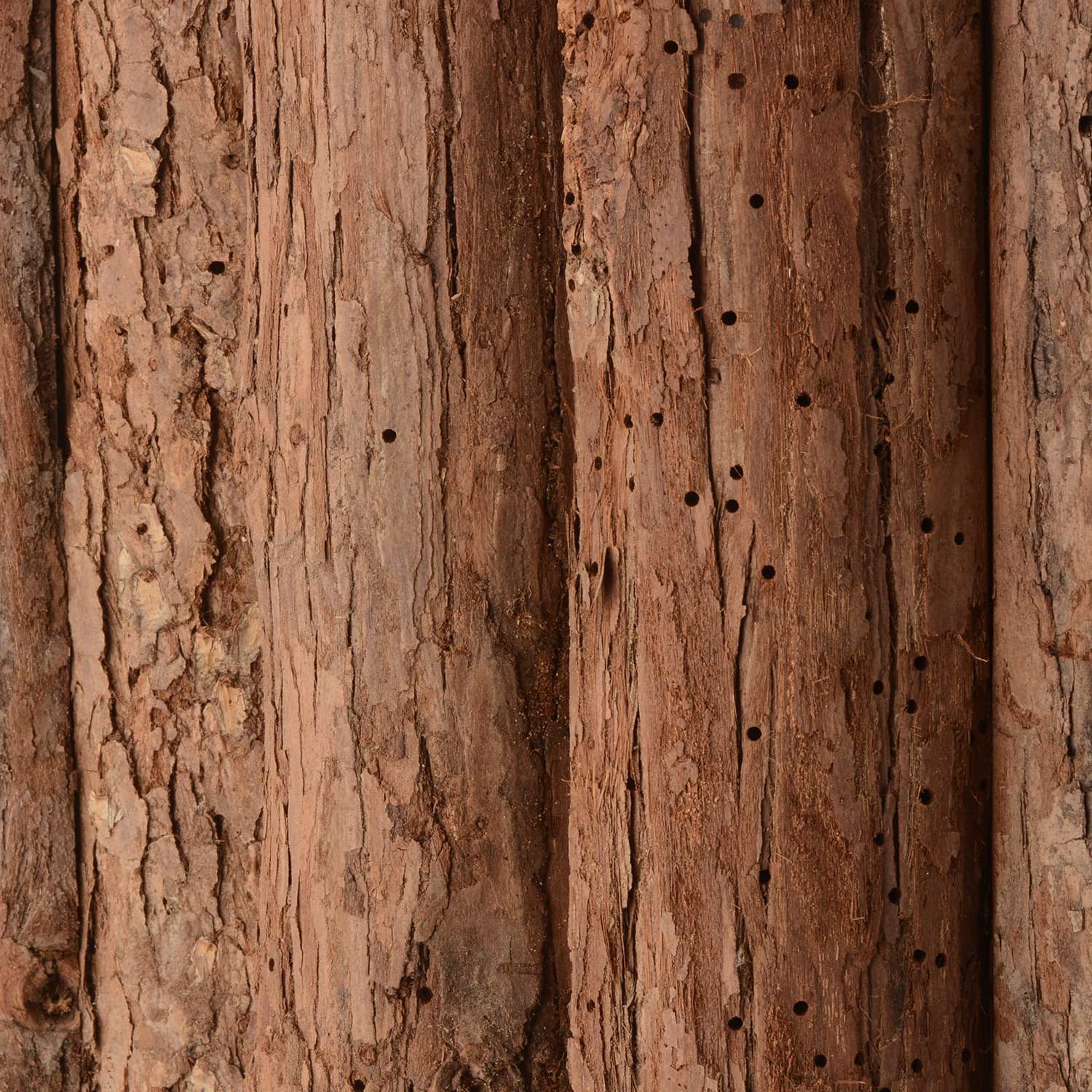 CKB LTD Fledermaushaus aus Holz für den Außenbereich – Hotel kann auch für den Winterschlaf verwendet Werden, Haus für den Garten, 30,5 x 6,5 x 46,5 cm