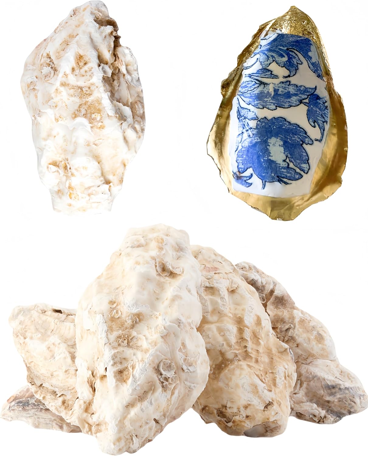 30Pcs Extra Large Oyster Shells for Crafts （ 5"-6"） , Oyster Shell for Crafting， Seashells for Crafts、Painting、Wedding、Christmas、Beach Theme Decor， and Clean、Odor-Free Sea Shells for Crafting