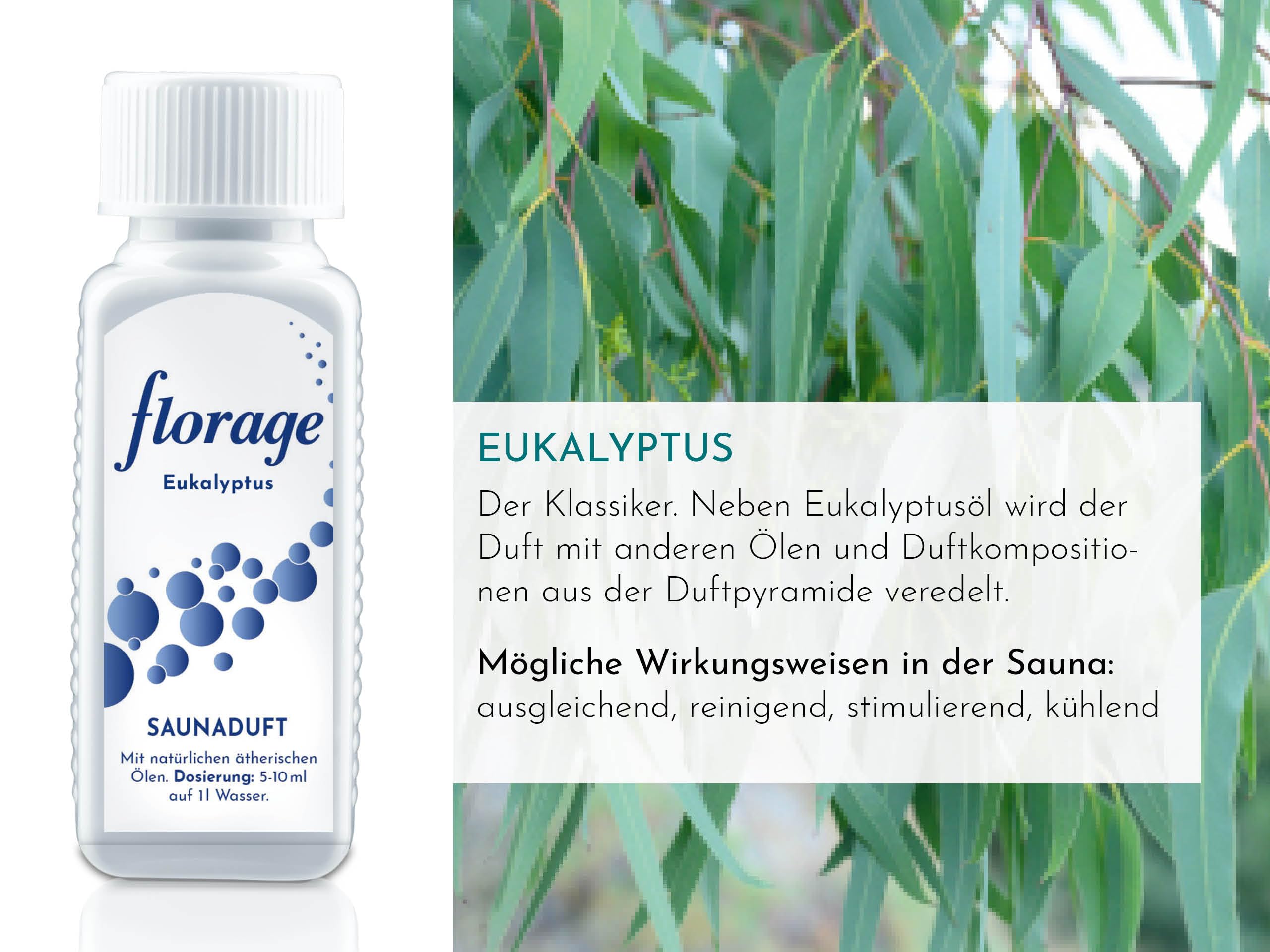 5x 100ml Saunaaufguss Saunaduft Konzentrat Duftöl Geschenkset - Eukalyptus, Minze, Latschenkiefer, Citrone/Orange, Sauna Gold - auch für Kräuterbäder, Aromaschalen und Thermarien