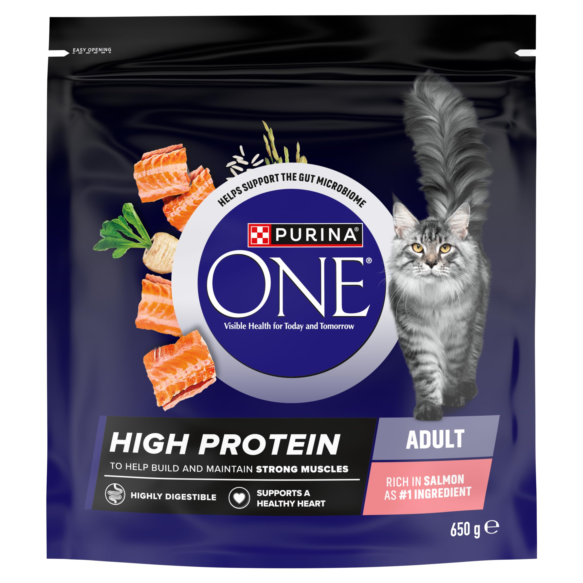 PURINA ONE High Protein Salmon Dry Cat Food 650g
