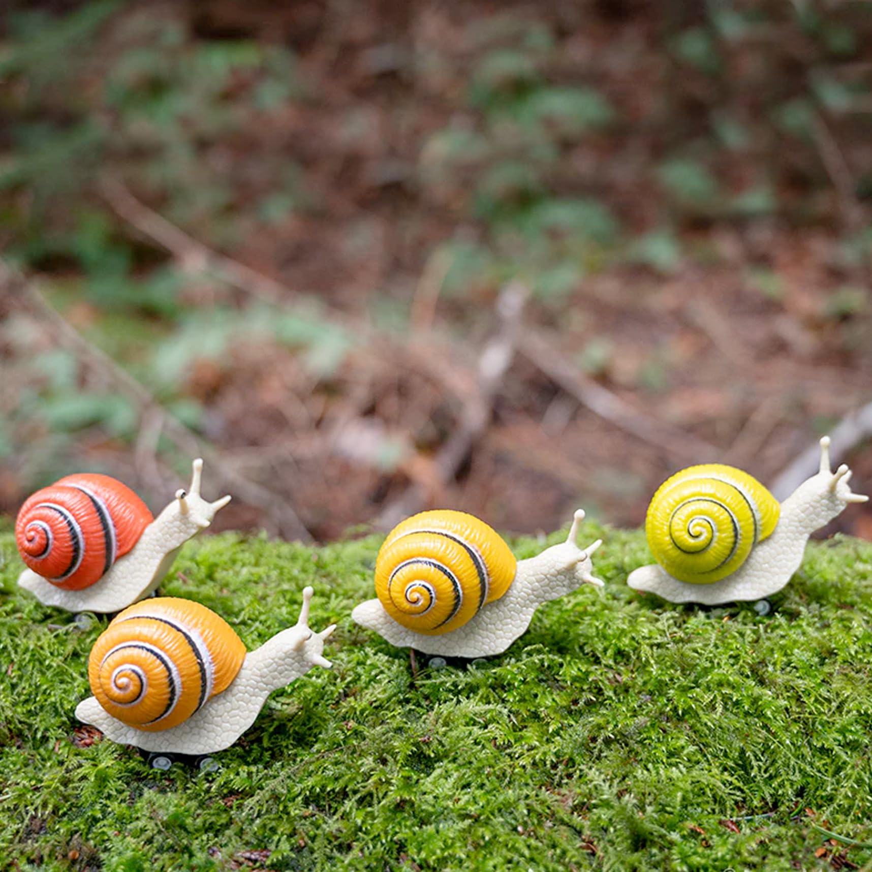 Snail toys 阿志 Magic trick Amazon.com: Accoutrements Archie McPhee Racing Snails - On Your