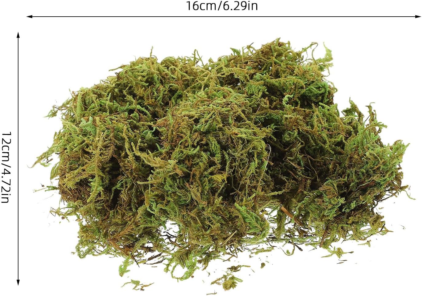Operitacx 2 Packs Moss for Wall Decor, Botanical Display Moss, Wedding Centerpiece Decor, Tabletop Greenery Grass, Botanical Display Filler for Vase Wreath Diorama 60g/Pack