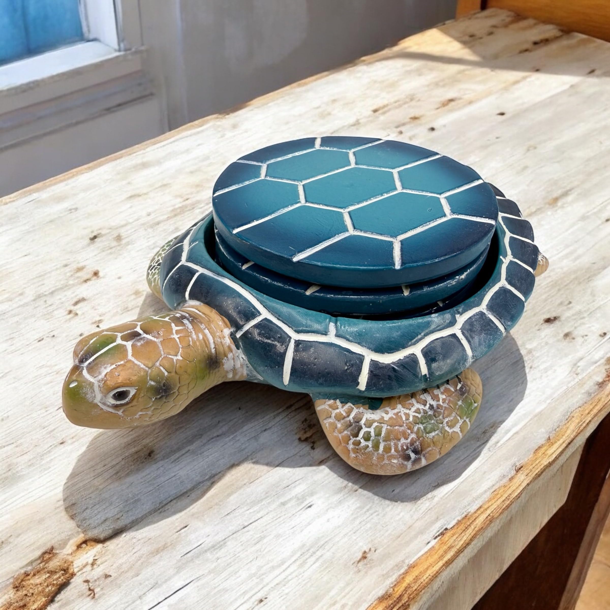 Amazon.co.jp: ウミガメコースターセット - 海岸の海辺の装飾 - 明るく