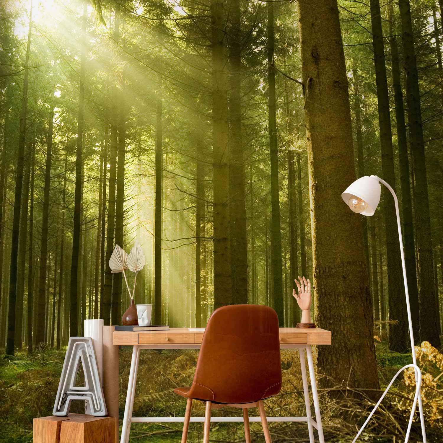 murando - Carta da Parati Moderna per Soggiorno, Foresta, 400x309 cm