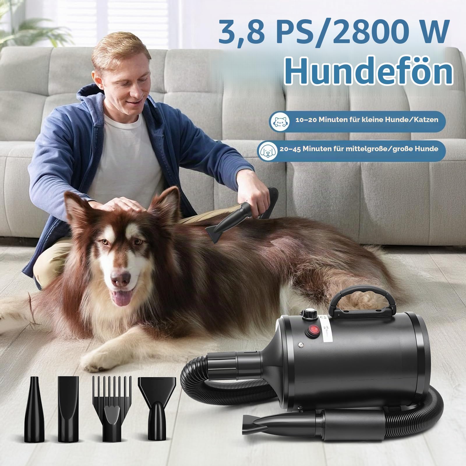 Hundefön Hundetrockner,2800W Hundehaartrockner, einstellbare Geschwindigkeit und Temperatur, geräuscharmer Hundetrockner Pet Grooming mit 4 Düsen für den privaten und professionellen Einsatz (Schwarz)