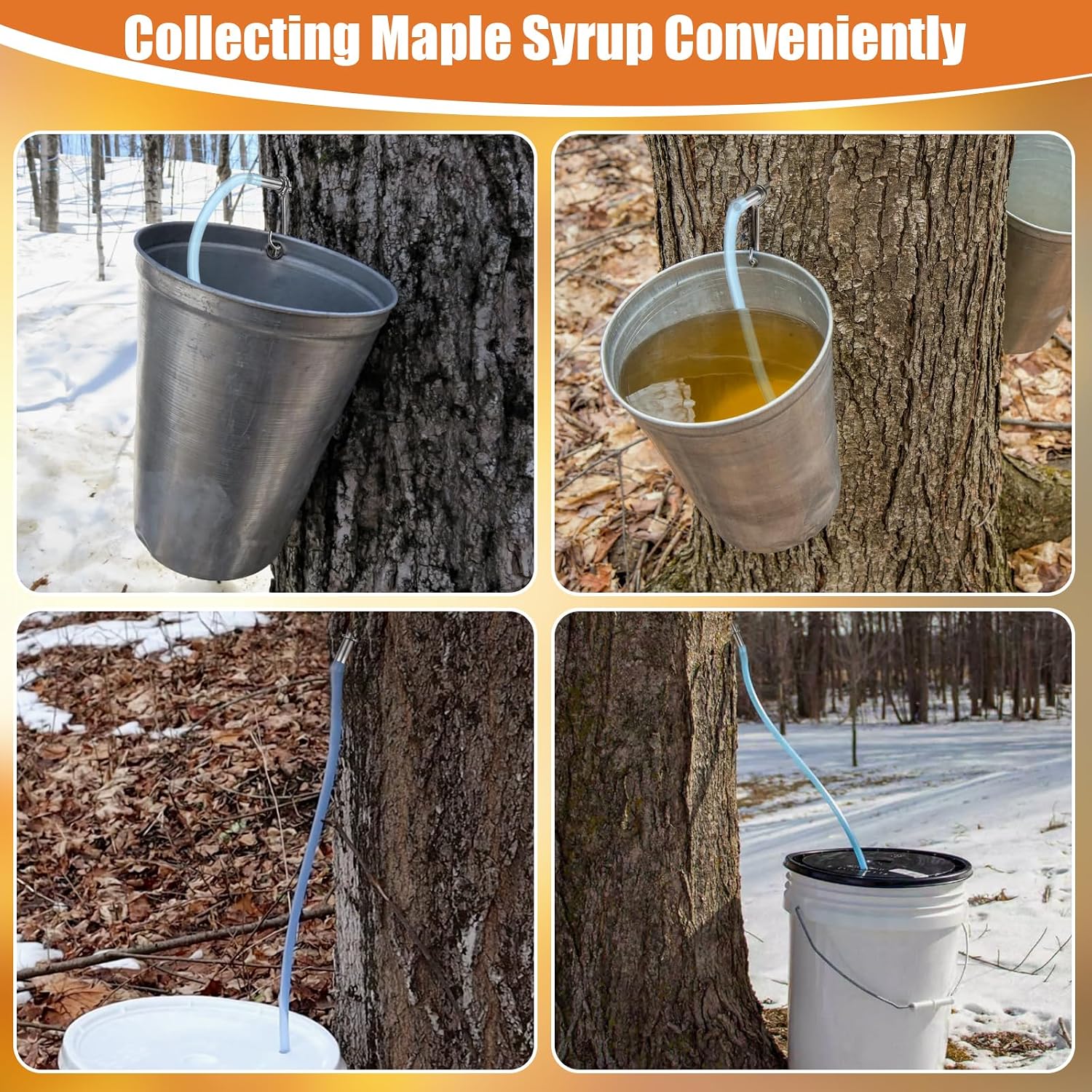 OwnMy Maple Syrup Tapping Kit with 6 Stainless Steel Maple Tree Taps