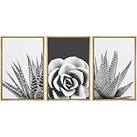 SIGNWIN Framed Wall Art Print Set Zebra Haworthia Succulent Set Nature Plants Photography Modern Art Closeup Relax/Calm Dark Black and White for Living Room, Bedroom, Office - 16