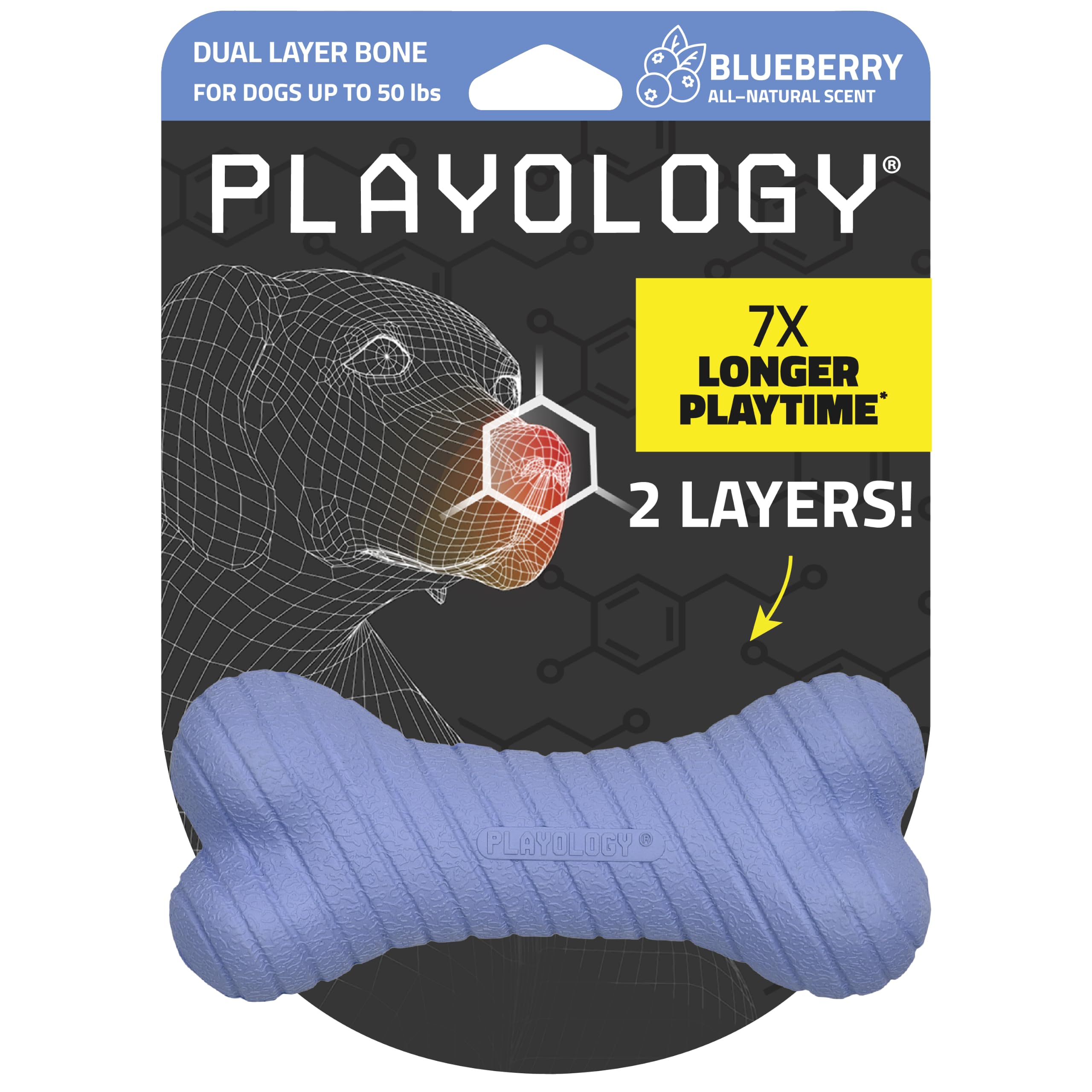 Playology Dual Layer Bone Dog Chew Toy - Medium, Blueberry Scent