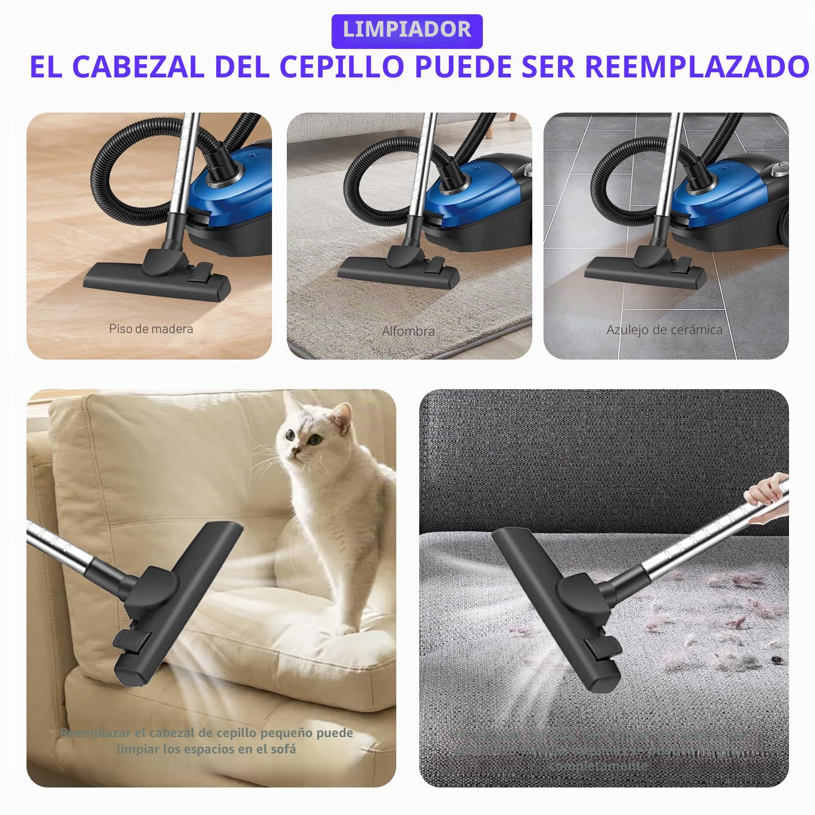 Aspirador de trineo sin bolsa de 2000 W, espiraador sin bolsa con cable, filtración HEPA, capacidad de 1,8 litros, radio de acción de 5 m, para alfombras y suelos duros, eliminación de polvo