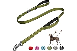 Fida: Best Leash for Dogs That Pull, Enhancing Control for a Peaceful Walk