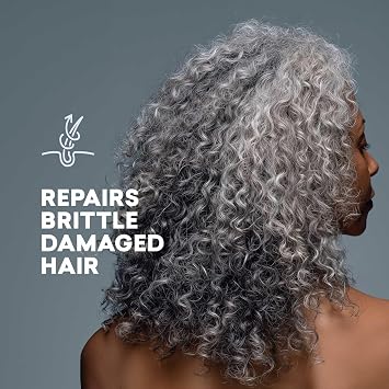 Just Nutritive Gray Hair Shampoo and Conditioner Set, Natural Kit for Gray Hair, 16 oz Each Product