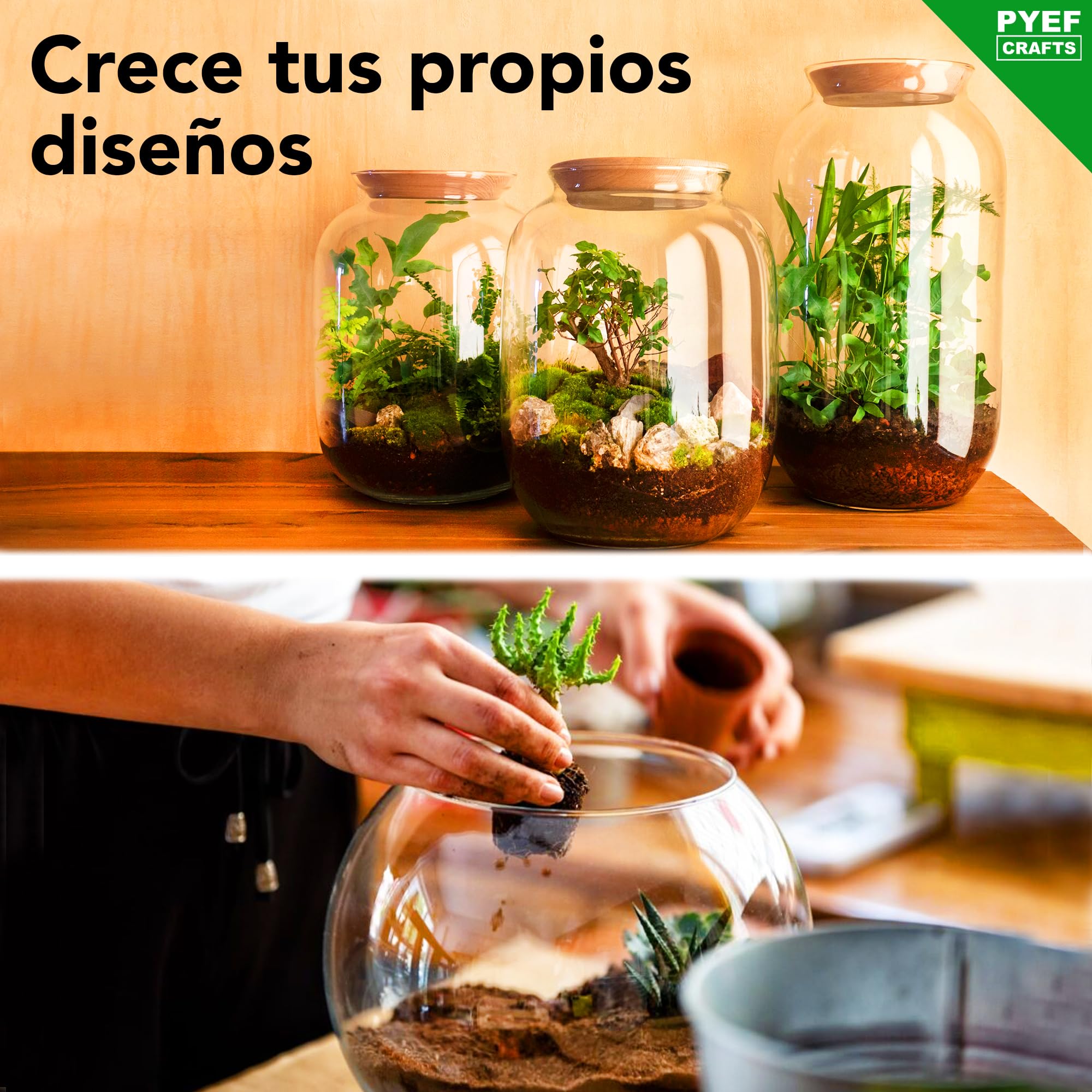 DIY Plants Terrarium Kit – Set Ecosystem Closed Garden Plants in