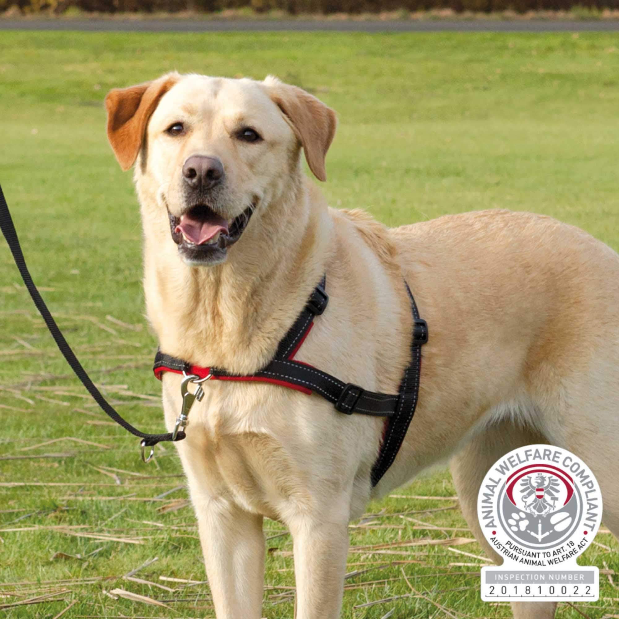 TRIXIE, Lead'n'Walk Soft Erziehungsgeschirr schwarz L-XL