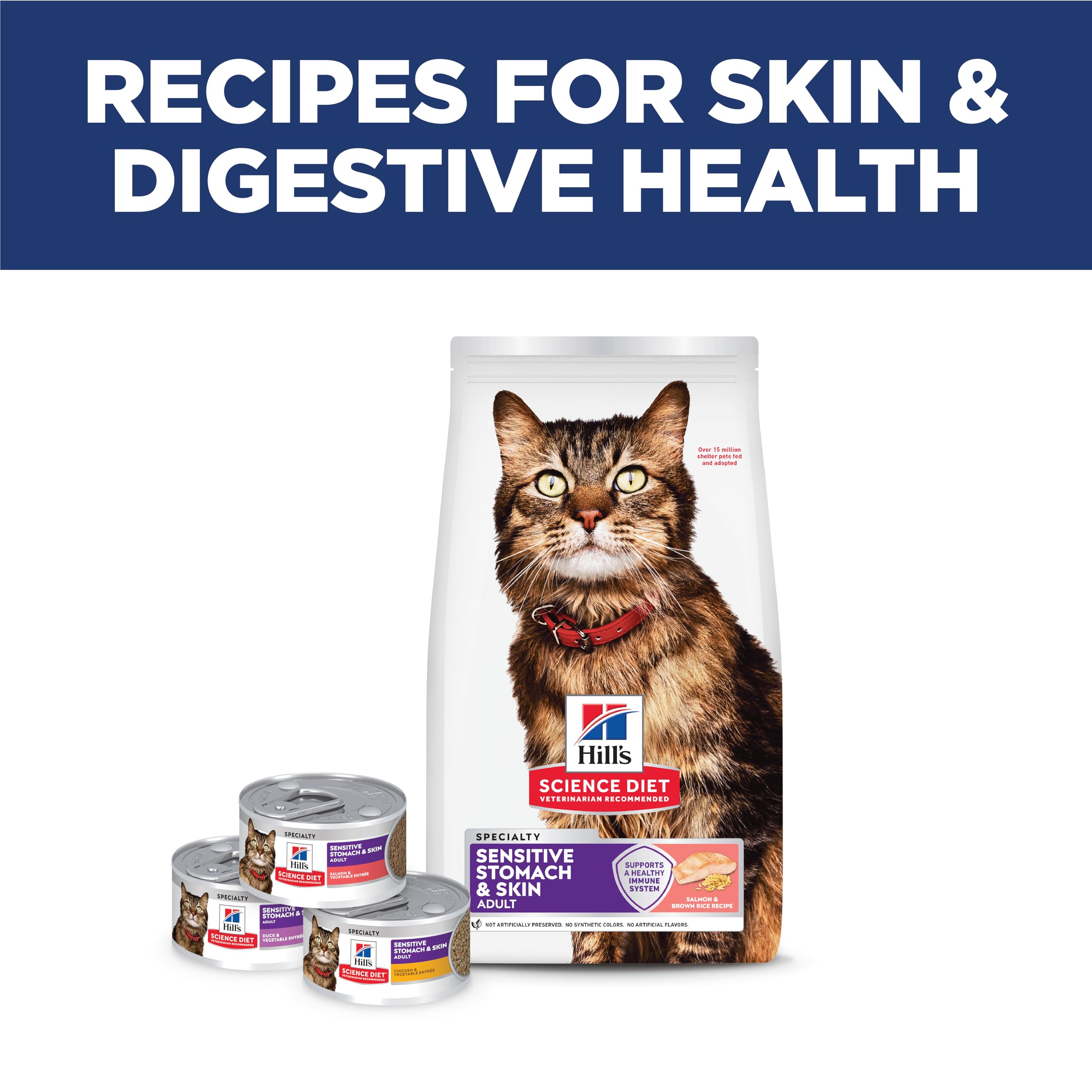 Hill's Science Diet Adult Sensitive Stomach & Skin Dry Cat Food, Chicken & Rice, 7 lb. Bag (Updated Formula): Salmon 13 Pound (Pack of 1)