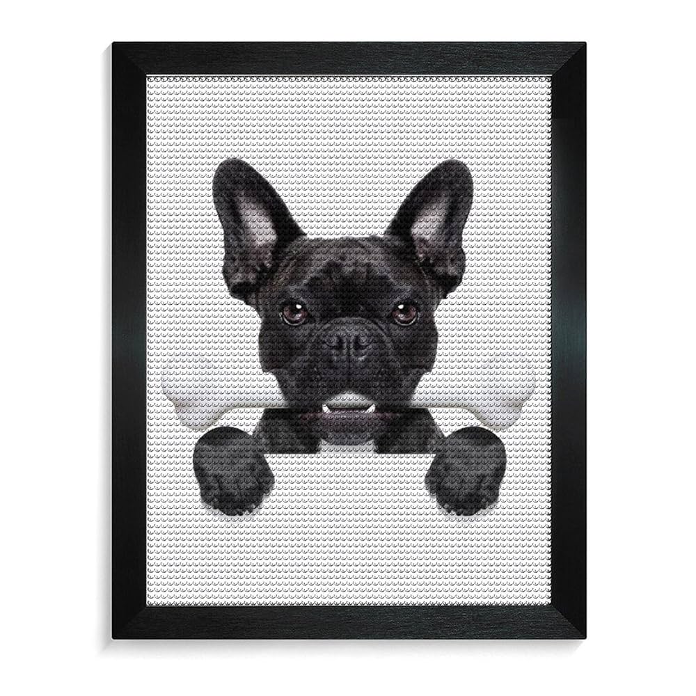 Amazon | 面白い フレンチブルドッグ犬 ダイヤモンドアート 5D