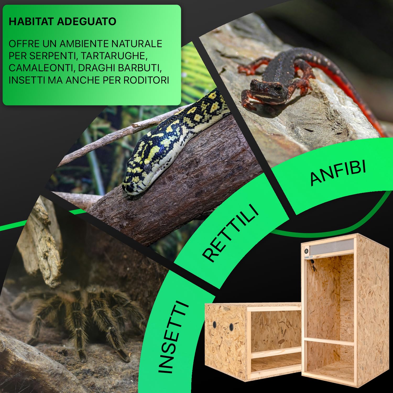 Terrario In Legno 40x40x40 Cm Per Rettili - Con Igrometro E Ventilazione - Certificato FSC