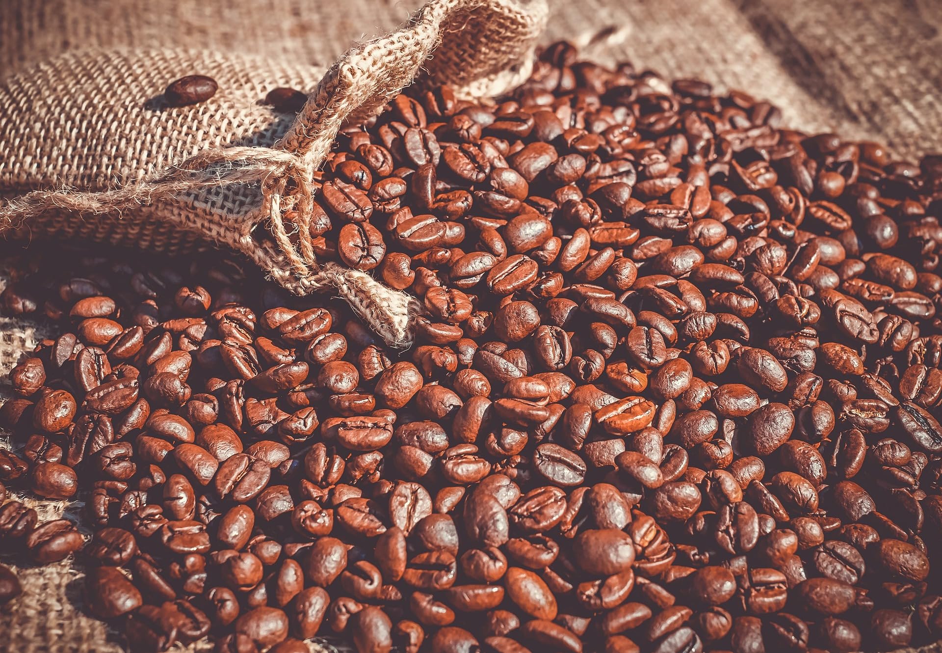 Chicco Espresso Premium Probierpaket groß 3kg ganze Kaffee Bohnen Urubamba Sumatera Horizonte