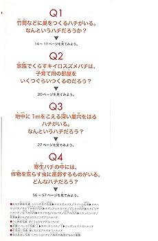 ハチのくらし大研究 知恵いっぱいの子育て術 (楽しい調べ学習