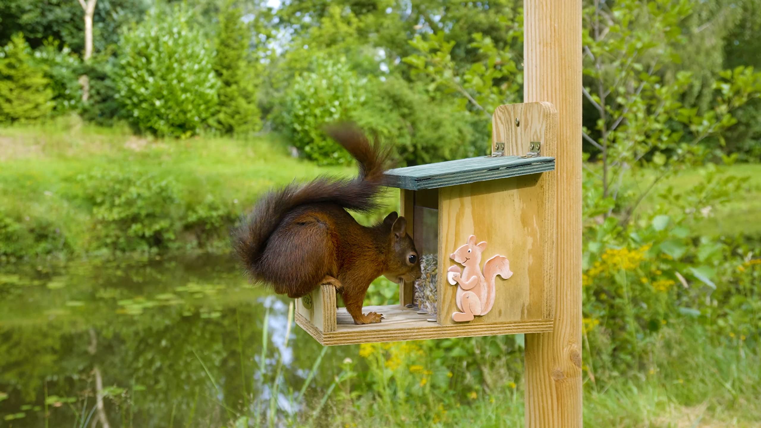 Luxus-Insektenhotels, casetta per scoiattoli di Alta qualità