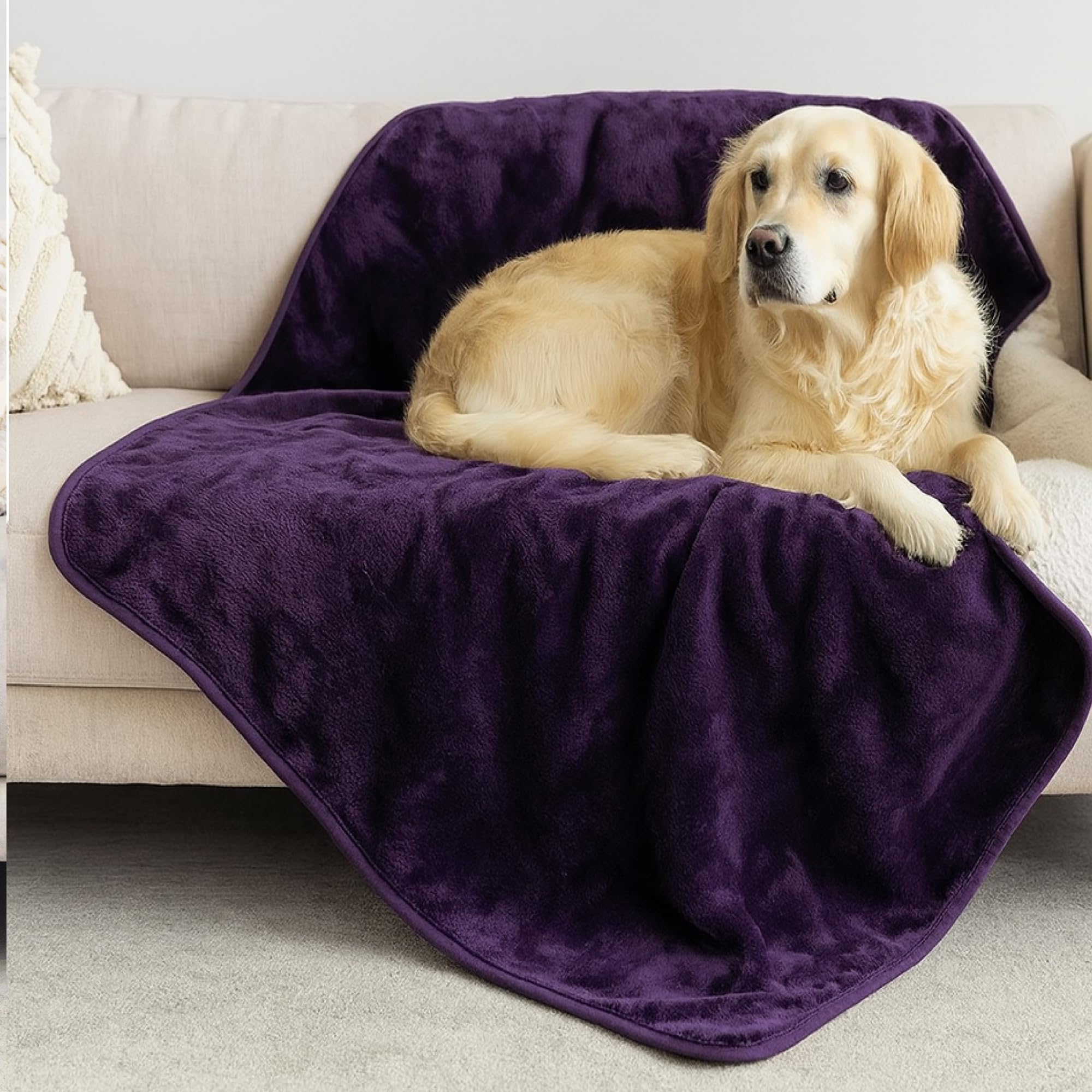 Plaid imperméable chien Dreamzie en polaire sherpa noire de qualité supérieure