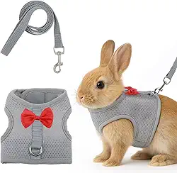 Conjunto de arnês e coleira de coelho com laço fofo, colete de malha macia para coelhos, colete ajustável para coelhos, acessórios para caminhadas de coelhos (cinza)