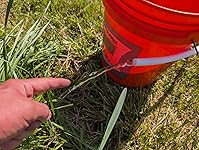 Review Image by Eric G Eric G