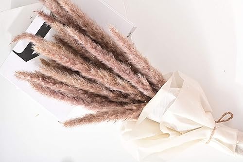 Miniatura 2 de Allure Life Regalos  Decoración de hierba seca de las pampas 30 piezas de 19 pulgadas de alto flores secas para decoración de césped pomposo floral